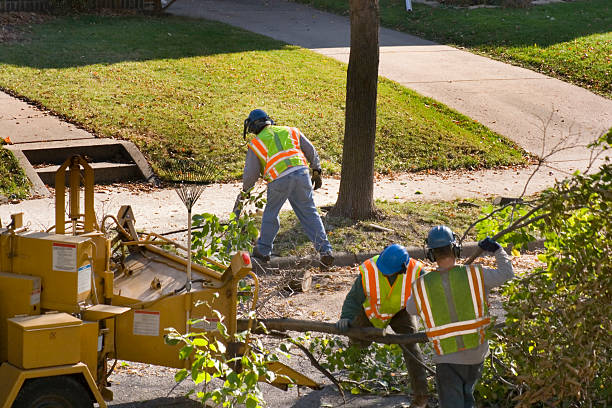 Best Lawn Watering Services  in Jackson, MI