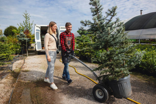 Best Storm Damage Tree Cleanup  in Jackson, MI